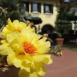 Hotel Il Ghebo Cavallino-Treporti