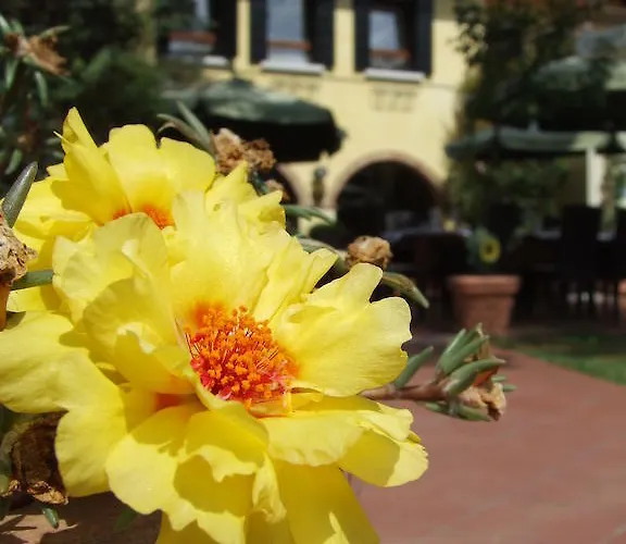 Hotel Il Ghebo Cavallino-Treporti