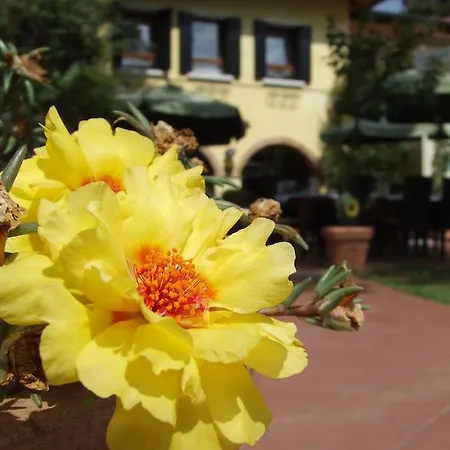 Hotel Il Ghebo Cavallino-Treporti
